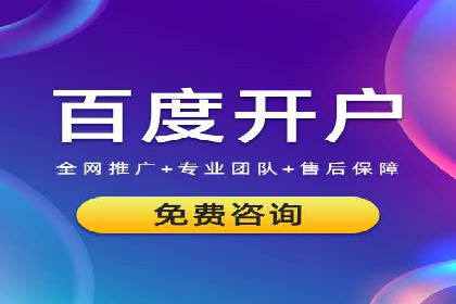 某知名企业SEM营销全案解析